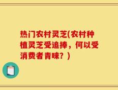 热门农村灵芝(农村种植灵芝受追捧，何以受消费者青睐？)