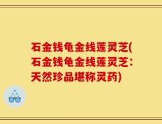石金钱龟金线莲灵芝(石金钱龟金线莲灵芝：天然珍品堪称灵药)