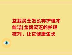 盆栽灵芝怎么样护理才能活(盆栽灵芝的护理技巧，让它健康生长