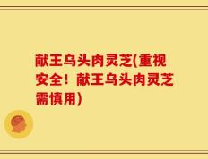 献王乌头肉灵芝(重视安全！献王乌头肉灵芝需慎用)