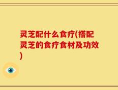 灵芝配什么食疗(搭配灵芝的食疗食材及功效)
