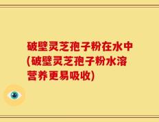 破壁灵芝孢子粉在水中(破壁灵芝孢子粉水溶营养更易吸收)