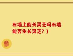 石墙上能长灵芝吗石墙能否生长灵芝？)