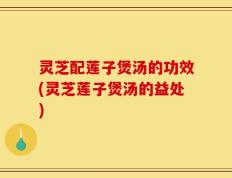 灵芝配莲子煲汤的功效(灵芝莲子煲汤的益处)
