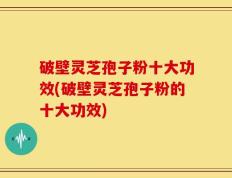 破壁灵芝孢子粉十大功效(破壁灵芝孢子粉的十大功效)