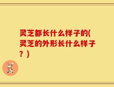 灵芝都长什么样子的(灵芝的外形长什么样子？)