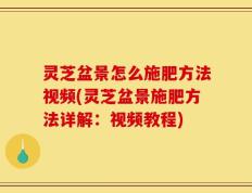 灵芝盆景怎么施肥方法视频(灵芝盆景施肥方法详解：视频教程)