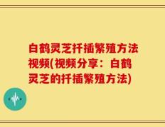 白鹤灵芝扦插繁殖方法视频(视频分享：白鹤灵芝的扦插繁殖方法)