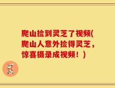 爬山捡到灵芝了视频(爬山人意外捡得灵芝，惊喜摄录成视频！)