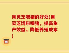 用灵芝喂猪的好处(用灵芝饲料喂猪，提高生产效益，降低养殖成本)
