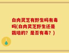 白肉灵芝有野生吗有毒吗(白肉灵芝野生还是栽培的？是否有毒？)