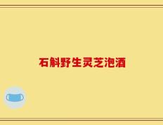 石斛野生灵芝泡酒