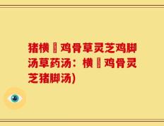 猪横脷鸡骨草灵芝鸡脚汤草药汤：横脷鸡骨灵芝猪脚汤)
