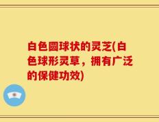 白色圆球状的灵芝(白色球形灵草，拥有广泛的保健功效)