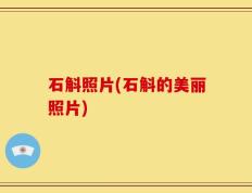 石斛照片(石斛的美丽照片)