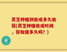 灵芝种植到收成多久收获(灵芝种植收成时间，你知道多久吗？)