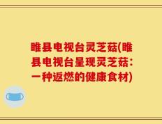 睢县电视台灵芝菇(睢县电视台呈现灵芝菇：一种返燃的健康食材)