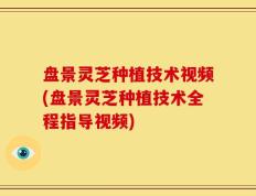 盘景灵芝种植技术视频(盘景灵芝种植技术全程指导视频)