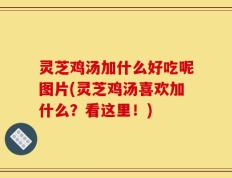 灵芝鸡汤加什么好吃呢图片(灵芝鸡汤喜欢加什么？看这里！)