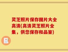 灵芝照片保存图片大全高清(高清灵芝照片全集，供您保存和品鉴)
