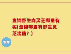 盘锦野生肉灵芝哪里有买(盘锦哪里有野生灵芝出售？)