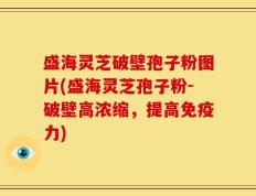 盛海灵芝破壁孢子粉图片(盛海灵芝孢子粉-破壁高浓缩，提高免疫力)