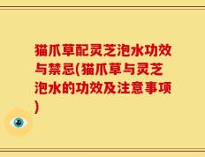 猫爪草配灵芝泡水功效与禁忌(猫爪草与灵芝泡水的功效及注意事项)