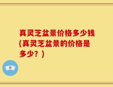真灵芝盆景价格多少钱(真灵芝盆景的价格是多少？)