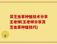 灵芝虫草种植技术分享王老师(王老师分享灵芝虫草种植技巧)