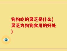 狗狗吃的灵芝是什么(灵芝为狗狗食用的好处)
