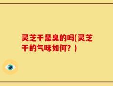 灵芝干是臭的吗(灵芝干的气味如何？)