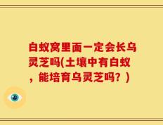 白蚁窝里面一定会长乌灵芝吗(土壤中有白蚁，能培育乌灵芝吗？)