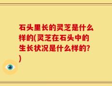 石头里长的灵芝是什么样的(灵芝在石头中的生长状况是什么样的？)
