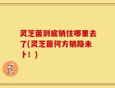 灵芝菌到底销往哪里去了(灵芝菌何方销路未卜！)