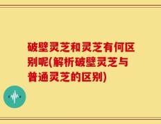 破壁灵芝和灵芝有何区别呢(解析破壁灵芝与普通灵芝的区别)