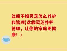 盆栽干燥灵芝怎么养护和管理(盆栽灵芝养护管理，让你的家庭更健康！)
