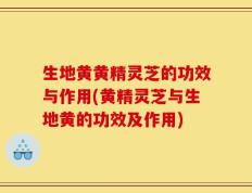 生地黄黄精灵芝的功效与作用(黄精灵芝与生地黄的功效及作用)
