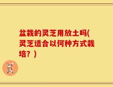 盆栽的灵芝用放土吗(灵芝适合以何种方式栽培？)