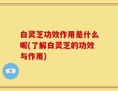 白灵芝功效作用是什么呢(了解白灵芝的功效与作用)