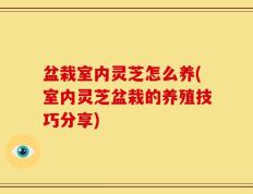 盆栽室内灵芝怎么养(室内灵芝盆栽的养殖技巧分享)