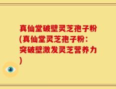 真仙堂破壁灵芝孢子粉(真仙堂灵芝孢子粉：突破壁激发灵芝营养力)