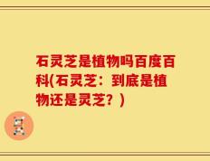 石灵芝是植物吗百度百科(石灵芝：到底是植物还是灵芝？)