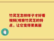 竹灵芝怎样样子才好看视频(观察竹灵芝的特点，让它变得更美丽