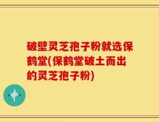 破壁灵芝孢子粉就选保鹤堂(保鹤堂破土而出的灵芝孢子粉)