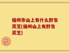 福州市山上有什么野生灵芝(福州山上有野生灵芝)