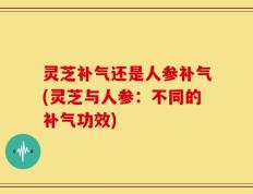 灵芝补气还是人参补气(灵芝与人参：不同的补气功效)