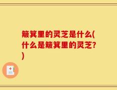 簸箕里的灵芝是什么(什么是簸箕里的灵芝？)