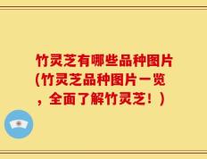 竹灵芝有哪些品种图片(竹灵芝品种图片一览，全面了解竹灵芝！)
