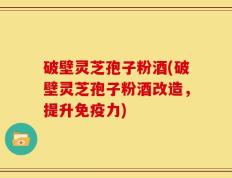 破壁灵芝孢子粉酒(破壁灵芝孢子粉酒改造，提升免疫力)