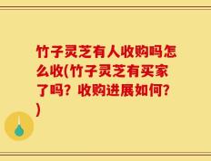 竹子灵芝有人收购吗怎么收(竹子灵芝有买家了吗？收购进展如何？)